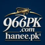 966PK Game