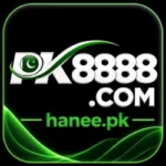 PK8888 Game