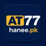 AT77 Game
