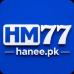 HM77 Game