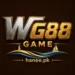 WG88 Game