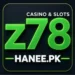 Z78 Game