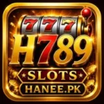 H789 Game