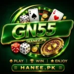GN55 Game