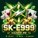 SK-E999 Game