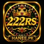 222RS Game